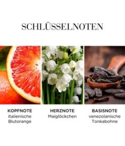 Elizabeth Arden White Tea Eau Fraiche Eau Fraîche -Promotion Parfum Boutique 085805214869 visual3