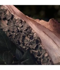 Chloé Chloé Signature Naturelle Eau De Parfum -Promotion Parfum Boutique 3614228842839 visual2