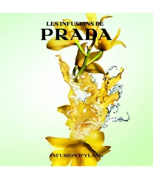 Prada Les Infusions D'Ylang Eau De Parfum 5 Prada Les Infusions D'Ylang Eau De Parfum – Image 5