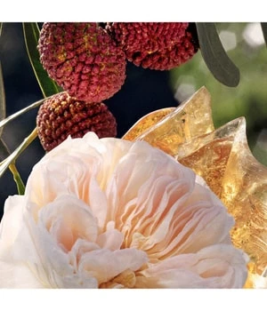 Chloé Signature Eau De Parfum 4 Chloé Signature Eau De Parfum – Image 4