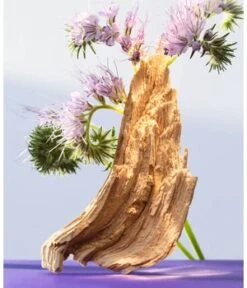 BVLGARI Omnia Amethyste Eau De Toilette -Promotion Parfum Boutique 783320420634 visual2