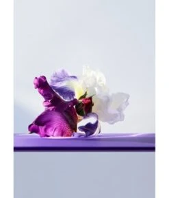 BVLGARI Omnia Amethyste Eau De Toilette -Promotion Parfum Boutique 783320420634 visual3