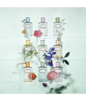 Prada Les Infusions Iris Cèdre Eau De Parfum 3 Prada Les Infusions Iris Cèdre Eau De Parfum – Image 3