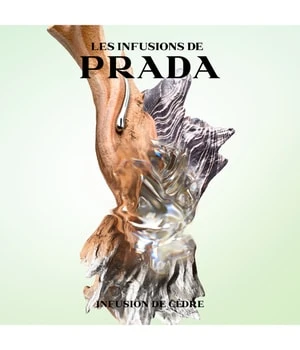 Prada Les Infusions Iris Cèdre Eau De Parfum 4 Prada Les Infusions Iris Cèdre Eau De Parfum – Image 4