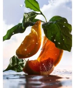 BVLGARI Man Rain Essence Eau De Parfum -Promotion Parfum Boutique bvlgari man rain essence eau de parfum 100 ml 0783320419461 visual2