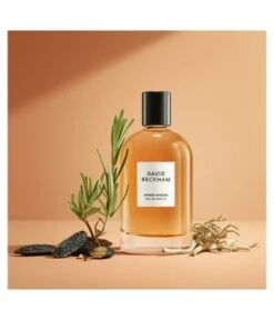 David Beckham Amber Breeze Eau De Parfum -Promotion Parfum Boutique david beckham amber breeze eau de parfum 100 ml 3616302038800 visual2