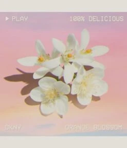 DKNY Be 100% Delicious Eau De Parfum 7 DKNY Be 100% Delicious Eau De Parfum -Promotion Parfum Boutique dkny be 100 delicious eau de parfum 30 ml 0022548154496 visual