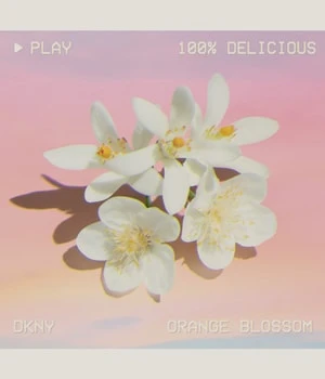 DKNY Be 100% Delicious Eau De Parfum 3 DKNY Be 100% Delicious Eau De Parfum – Image 3