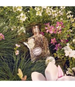Etro Magnolia Blanc Eau De Parfum -Promotion Parfum Boutique etro white magnolia eau de parfum 100 ml 8026247609303 visual2