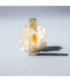 Furla Magnifica Eau De Parfum 5 Furla Magnifica Eau De Parfum -Promotion Parfum Boutique furla magnifica eau de parfum 30 ml 0679602301121 detail