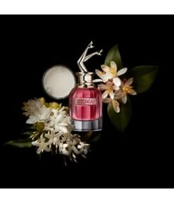 Jean Paul Gaultier Scandal So Scandal! Eau De Parfum -Promotion Parfum Boutique jean paul gaultier scandal so scandal eau de parfum 30 ml 8435415058339 detail
