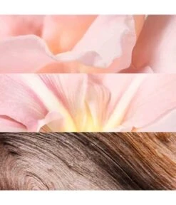 JIL SANDER Sunlight Lumière Eau De Parfum -Promotion Parfum Boutique jil sander sunlight lumiere eau de parfum 60 ml 3614226945006 detail