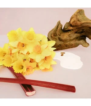 Marc Jacobs Perfect Lotion Pour Le Corps 4 Marc Jacobs Perfect Lotion Pour Le Corps – Image 4