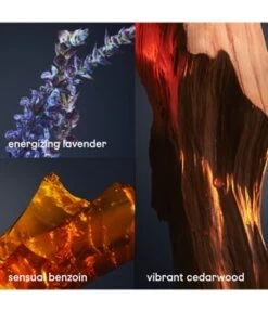 Paco Rabanne 1 Million Royal Parfum 11 Paco Rabanne 1 Million Royal Parfum -Promotion Parfum Boutique paco rabanne 1 million royal parfum 50 ml 3349668617043 visual3